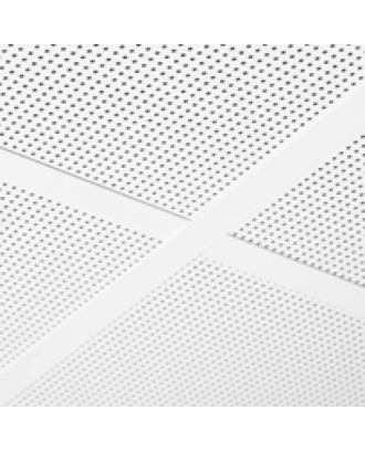 METAL Board з перфорацією Rg 0704, стельова плита